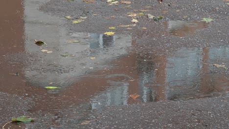 reflection of house on wet road in autumn rain