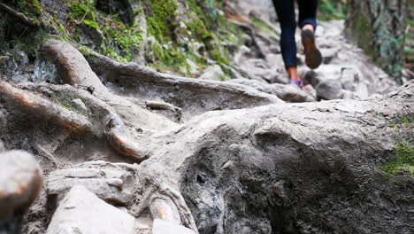 Female-hiker-walking-on-rock