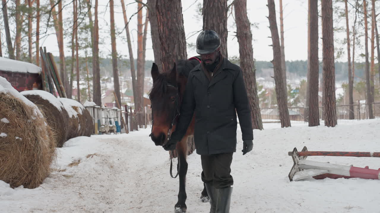 농부가 눈 덮인 농장을 가로질러 말을 끌고 가고, 승마인은 겨울 풍경 속에서 건초 더미 옆으로 동물을 인도하며, 헬멧을 쓴 남자가 추운 시골 환경에서 묶인 건초 너머로 조용한 말을 몰고 갑니다.
