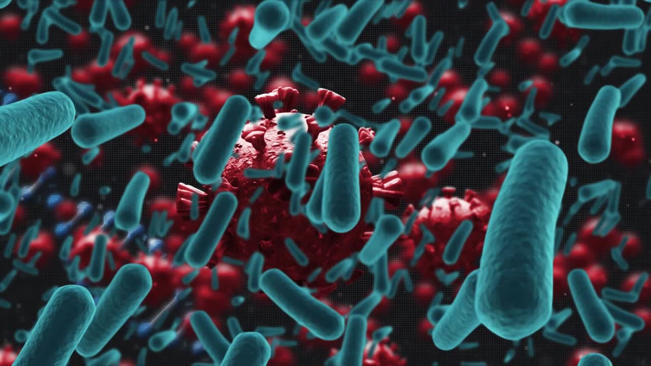 Struttura del DNA che ruota su vasi sanguigni e cellule COVID-19 che fluttuano su sfondo nero