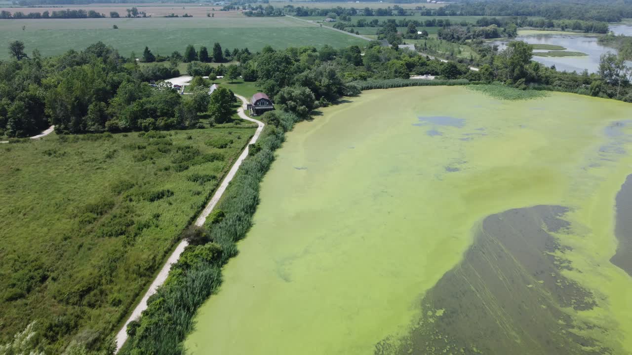 A road running beside a marsh in ontario
