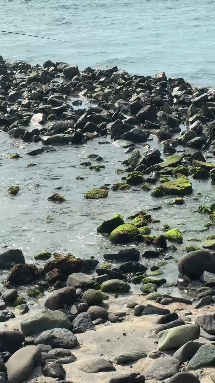 Onde delicate che lambiscono rocce muschiose su una spiaggia rocciosa