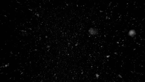 winter snow, falling snow isolated on black background
