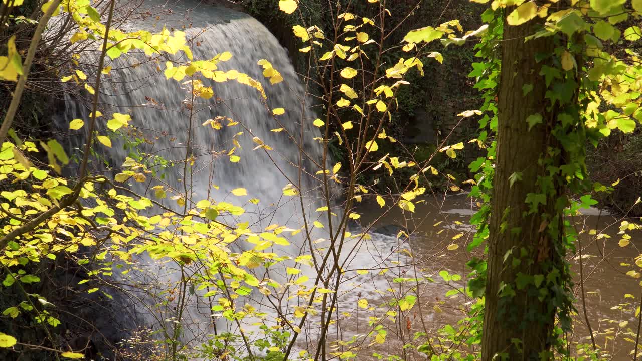 가을 - 가을의 트룰 폭포, 톤턴 서머셋에 사람이 만든 물