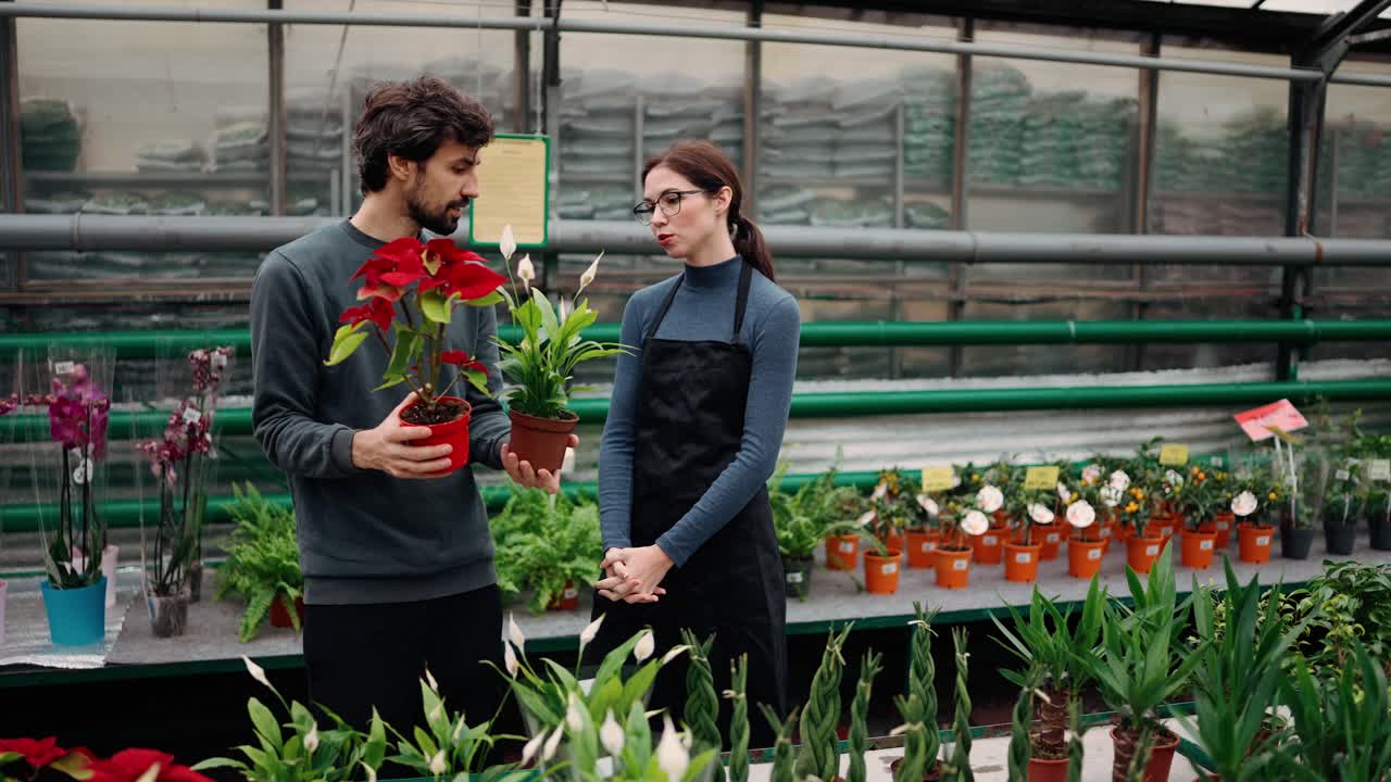 Un hombre sosteniendo dos plantas en maceta con flores rojas y hablando con una joven jardinera en un invernadero.