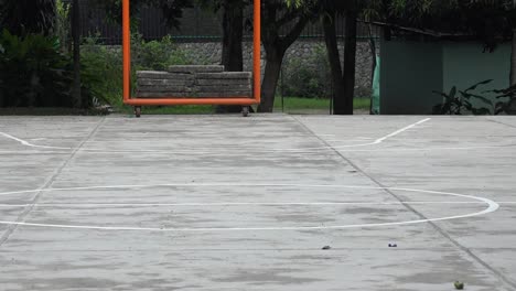 baloncesto, deportes, atletismo