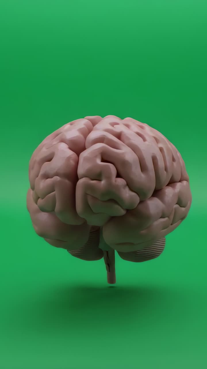Vertical video: Rotating 3D brain over green backdrop, showing cerebellum and brainstem on start