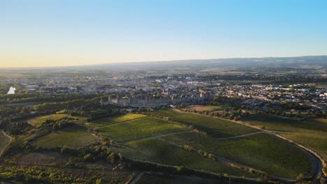 Aerial-establishing-shot-of-the-vast-vineyards-surrounding-the-Carcassonne-Castle-of-France