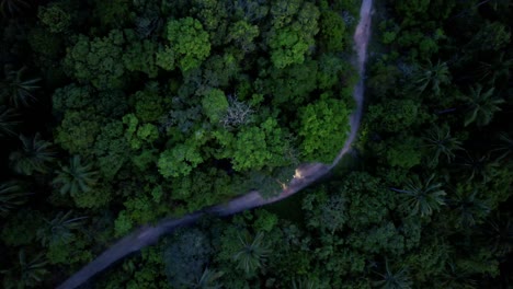Two-scooters-driving-through-the-rainforest-at-night
