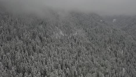 snowy mountainside in the french alpes