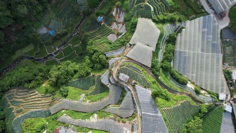 general landscape view of the brinchang district within the cameron highlands area of malaysia