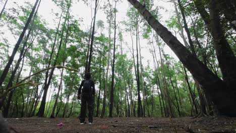 un niño está caminando para disfrutar de la naturaleza en el bosque vista lateral trasera