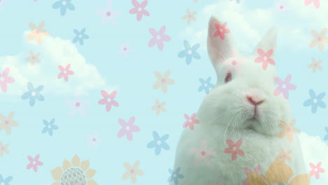 video compuesto de flores iconos que se mueven sobre el conejo de pascua contra las nubes en el cielo azul