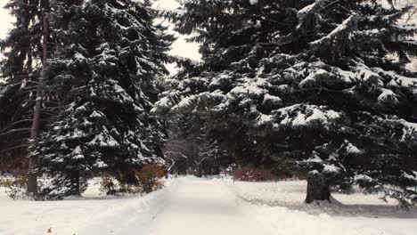 Neujahr,-Weihnachten,-Echter-Winterhintergrund