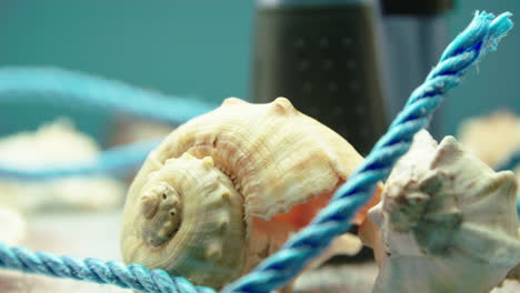 Nahaufnahme-Von-Muscheln-Und-Blauen-Seilen,-Umgeben-Von-Strandsand,-Auf-Einem-Plattenteller-Mit-Fernglas-Im-Hintergrund