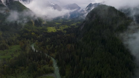 Drone-pull-back-and-tilt-up-of-a-lush-forrest