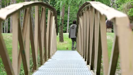 static shot of a man walking away from the camera over a footbridge along a nature trail in the route of the seven pools near campdevanol, spain