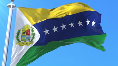 apure state flag, venezuela. loop