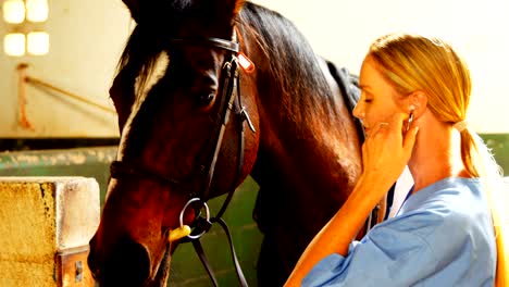 veterinarian doctor stroking horse 4k