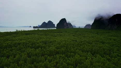 low dolly shot over green mangroves in phang nga bay with limestone islands covered with low clouds, thailand