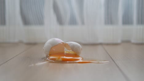 broken eggs on the floor