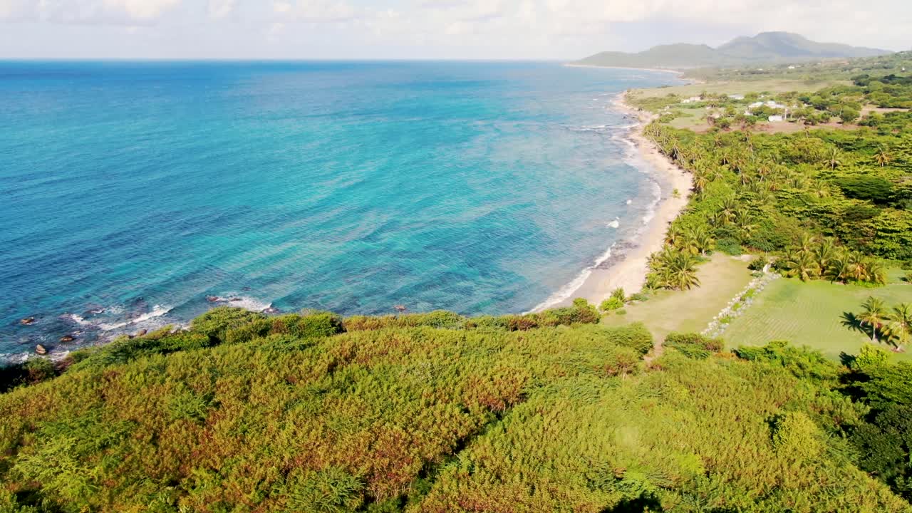 Tropical rainforest on private island El Cocal beach Puerto Rico, aerial