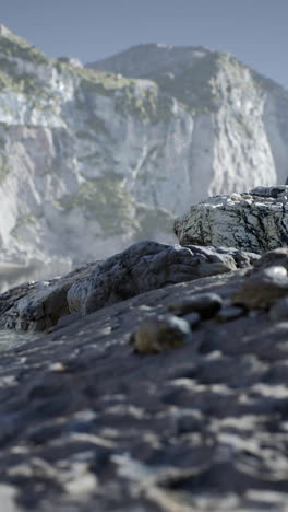 rocky beach with cliffs in the background