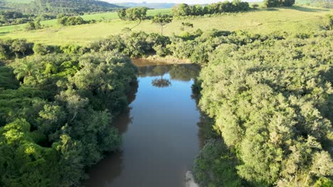 riparian forest of tibagi river in paraná state in southern brazil