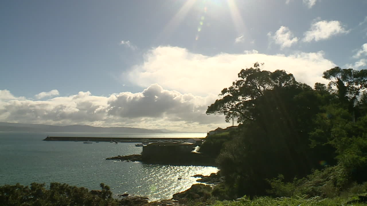 Coastal Harbor Scene with Sunny Skies