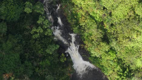 Un-Exuberante-Bosque-Verde-Con-Una-Cascada-En-La-Costa-Norte-De-Maui,-Vista-Aérea