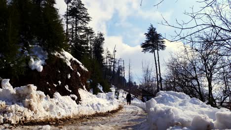 Blanco-Como-La-Nieve-En-Las-Colinas-Cubiertas-De-Cachemira-Montañas-Plantas-Valle