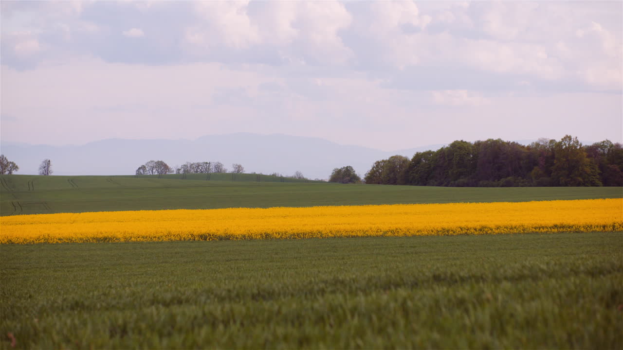 Beautiful Cumulus Clouds over Rural Fields