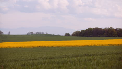beautiful cumulus clouds over rural fields