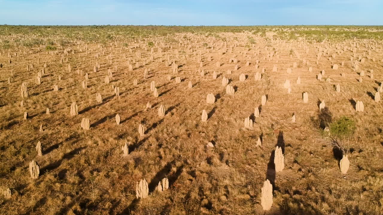 일몰 황금 시간 동안 호주 아웃백의 유명한 피너클에서 영화 드론 비디오