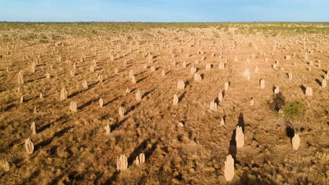 Filmisches-Drohnenvideo-Von-Berühmten-Pinnacles-Im-Australischen-Outback-Während-Der-Goldenen-Stunde-Des-Sonnenuntergangs