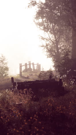 a broken bridge in a foggy forest