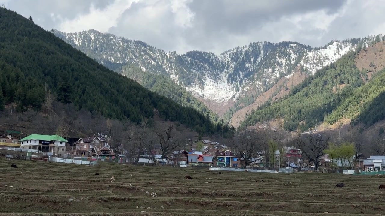 Keşmir Doğası, Güzellik, Yeşil Manzara. Cemmu Keşmir Turizmi, Seyahat, Gulmarg Destinasyonu, Dağ Çayırları, Bahar Çiçekleri, Huzur ve Macera