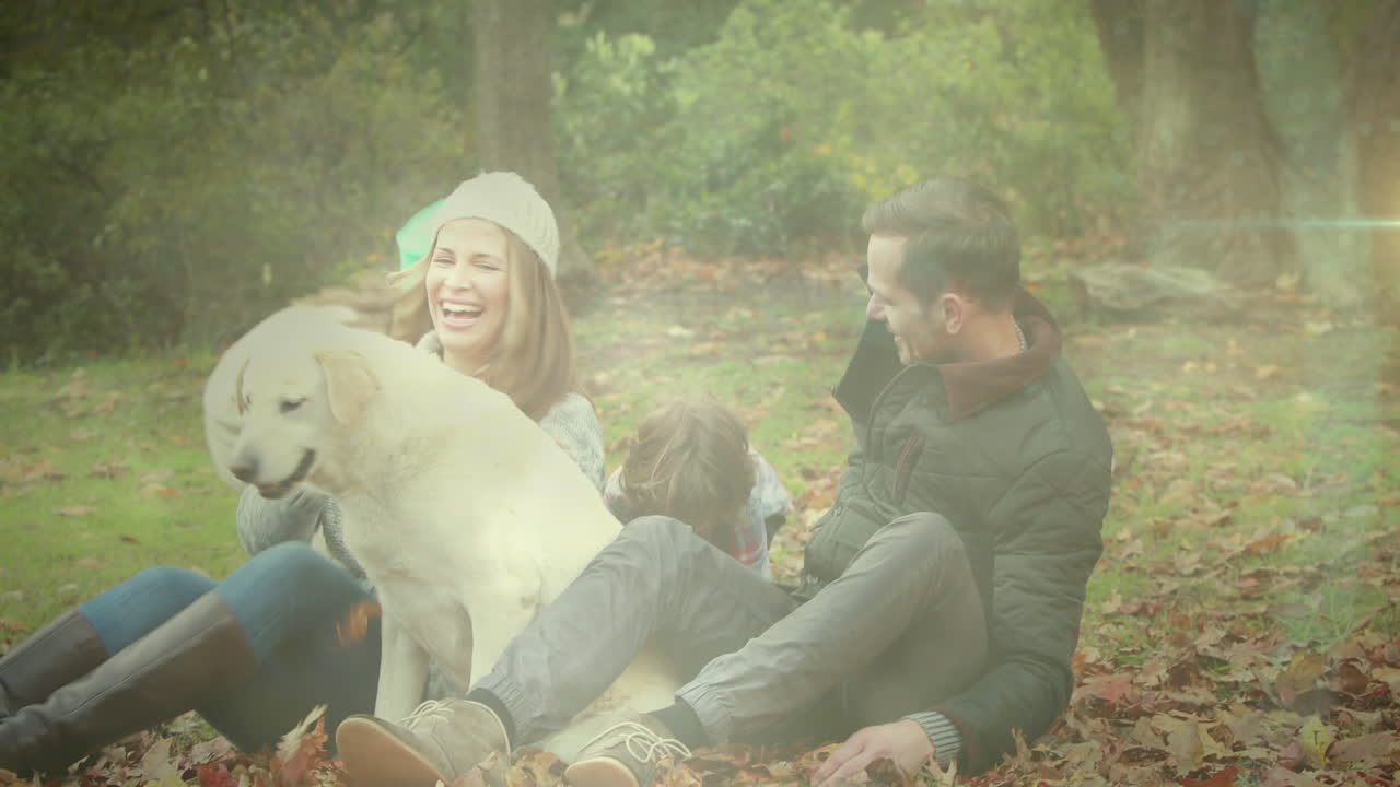 정원에서 개와 함께 놀고 있는 백인 가족에 대한 빛의 반점