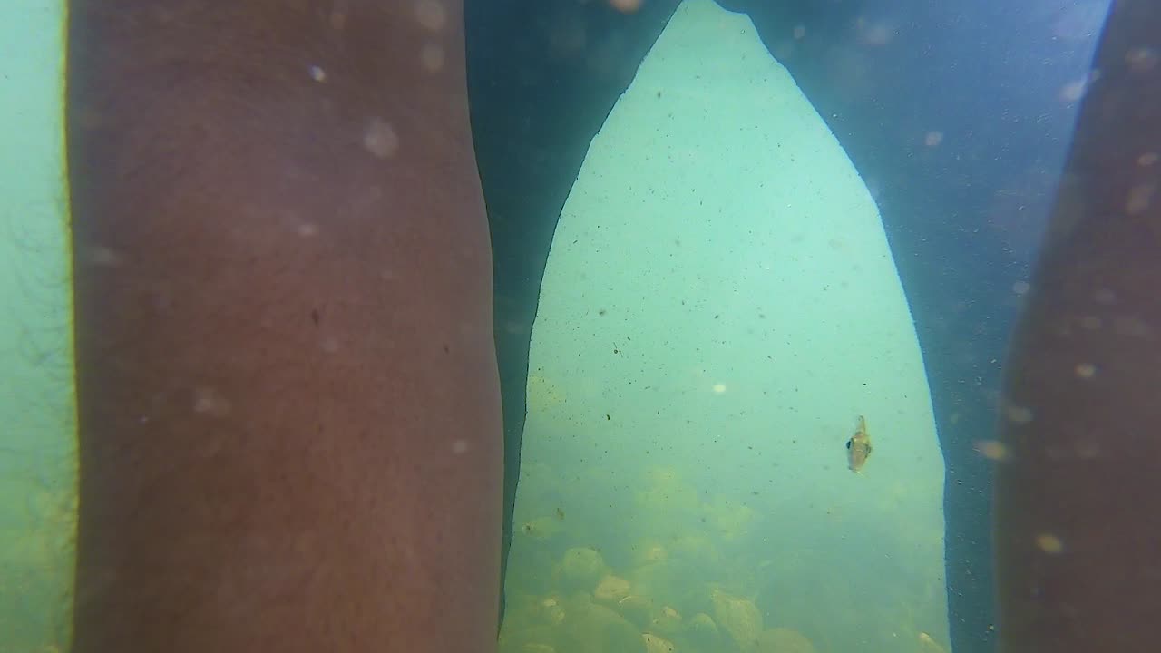 아침 에 작은 물고기 들 과 함께 강물 에 그물 을 넣고 있는 어부