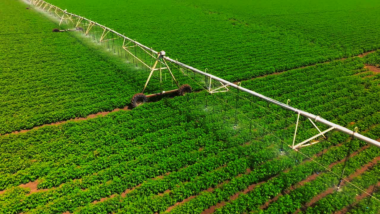 sistema de riego en el trabajo que pasa lentamente por encima de los cultivos frescos