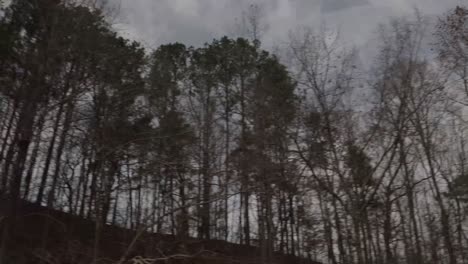 A-low-spinning-shot-of-bare-trees