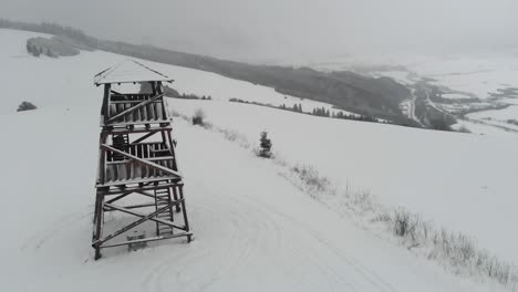 Person,-Die-In-Der-Winterlandschaft-Die-Oberste-Stufe-Des-Waldaussichtsturms-Hinunterklettert