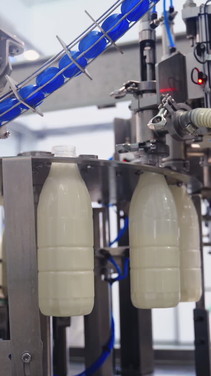 Robotic equipment for bottling milk. Manufacturing process of pouring milk into bottles on a dairy factory. Dairy production. Vertical video