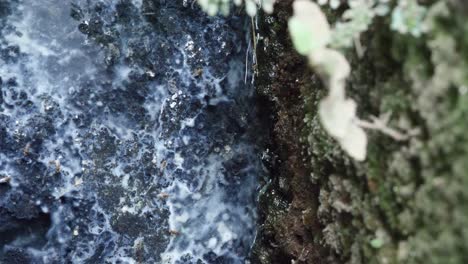 close up of dirty gutter polluted by household waste