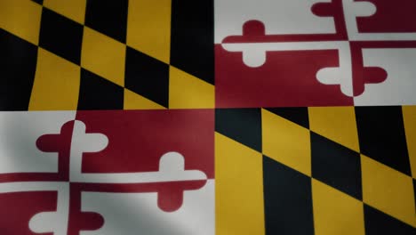 bandera de maryland, movimiento lento ondeando