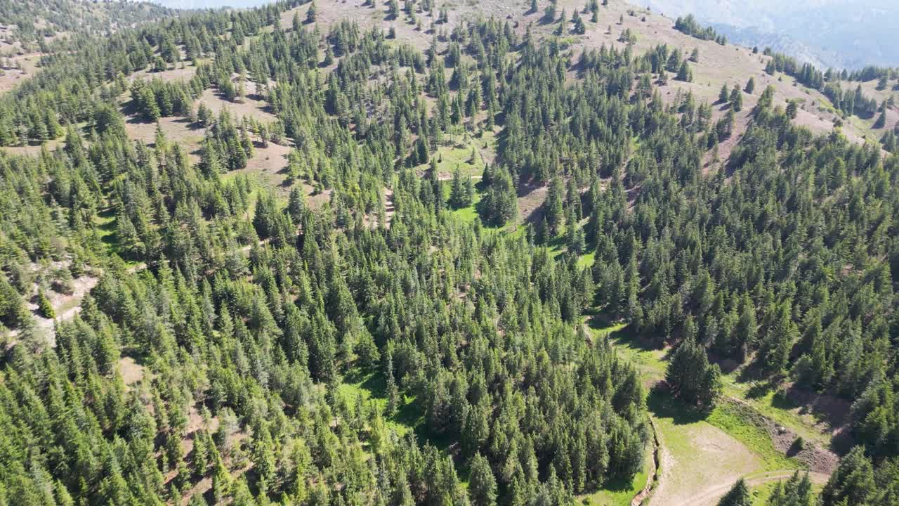 естественная красота афганистана