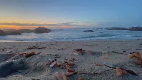 Medusas-Y-Pepinillos-Marinos-Arrastrados-A-Tierra-En-Las-Playas-De-Arena-De-La-Bahía-De-Monterey,-California,-En-Enero-De-2021