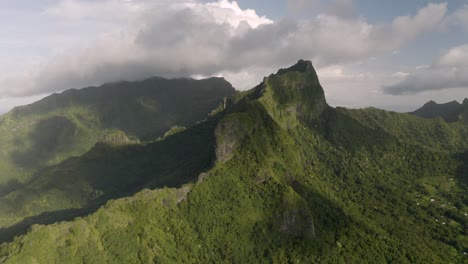 aerial shot of the impresive mountain landscape covered by lush vegetation in mo'orea island, french polynesia