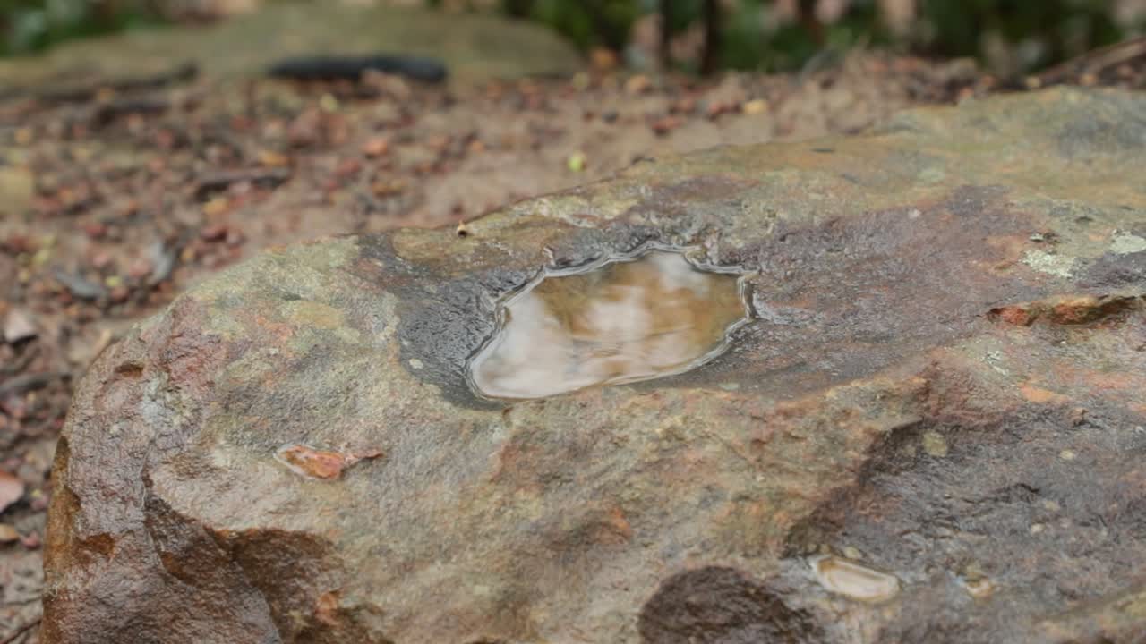 You can see the texture of wet rock in clear details and calmness of the droplets filling up the puddle