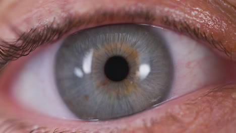 primer plano del ojo